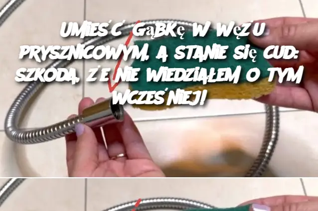 Umieść gąbkę w wężu prysznicowym, a stanie się cud: szkoda, że ​​nie wiedziałem o tym wcześniej!