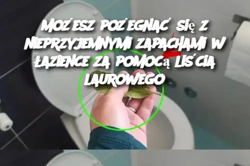 Możesz pożegnać się z nieprzyjemnymi zapachami w łazience za pomocą liścia laurowego