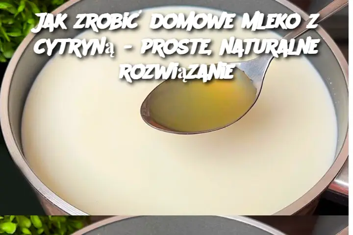 Jak zrobić domowe mleko z cytryną – proste, naturalne rozwiązanie