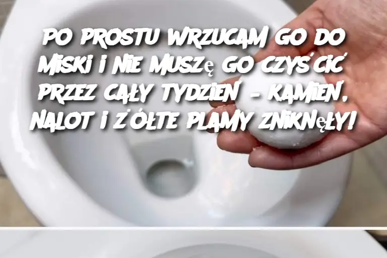 Po prostu wrzucam go do miski i nie muszę go czyścić przez cały tydzień – kamień, nalot i żółte plamy zniknęły!