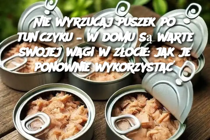 Nie wyrzucaj puszek po tuńczyku – w domu są warte swojej wagi w złocie: jak je ponownie wykorzystać