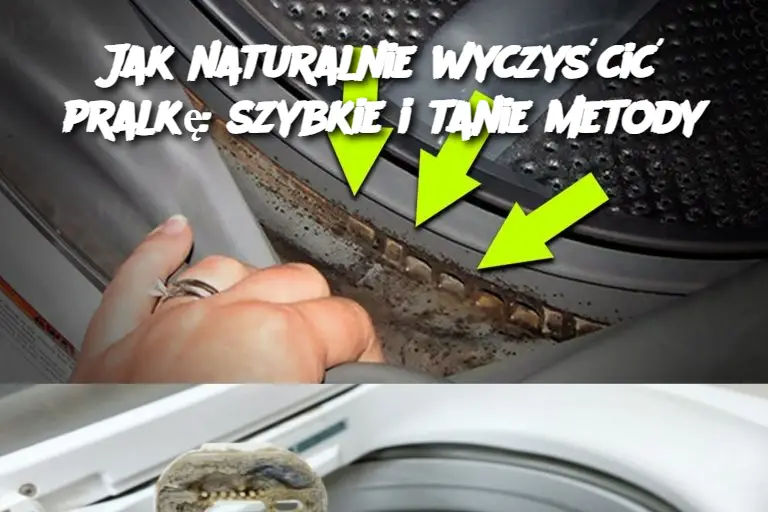 Jak naturalnie wyczyścić pralkę: szybkie i tanie metody