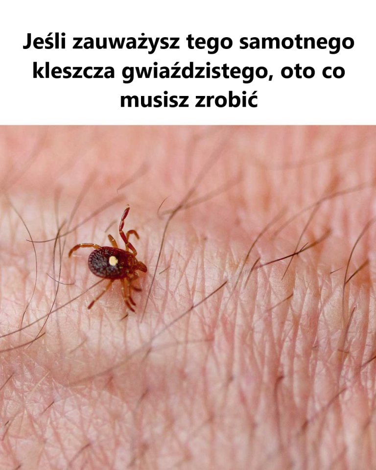 Teraz muszę sprawdzić, czy to jest w moim ogrodzie