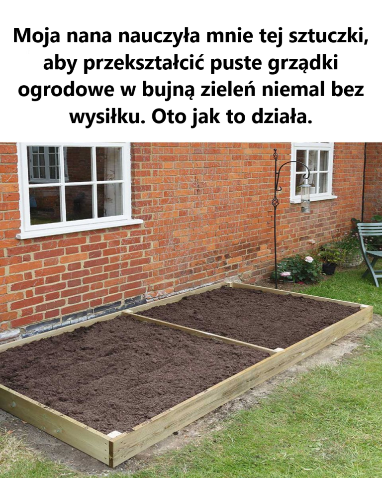 To jest dokładnie to, czego szukałem!