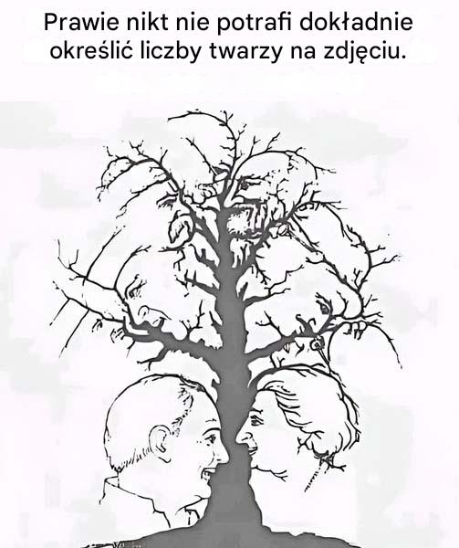 Jeżeli w czasie krótszym niż dziesięć sekund uda Ci się dostrzec wszystkie twarze ukryte w tej iluzji optycznej, Twój wzrok należy do najlepszych.