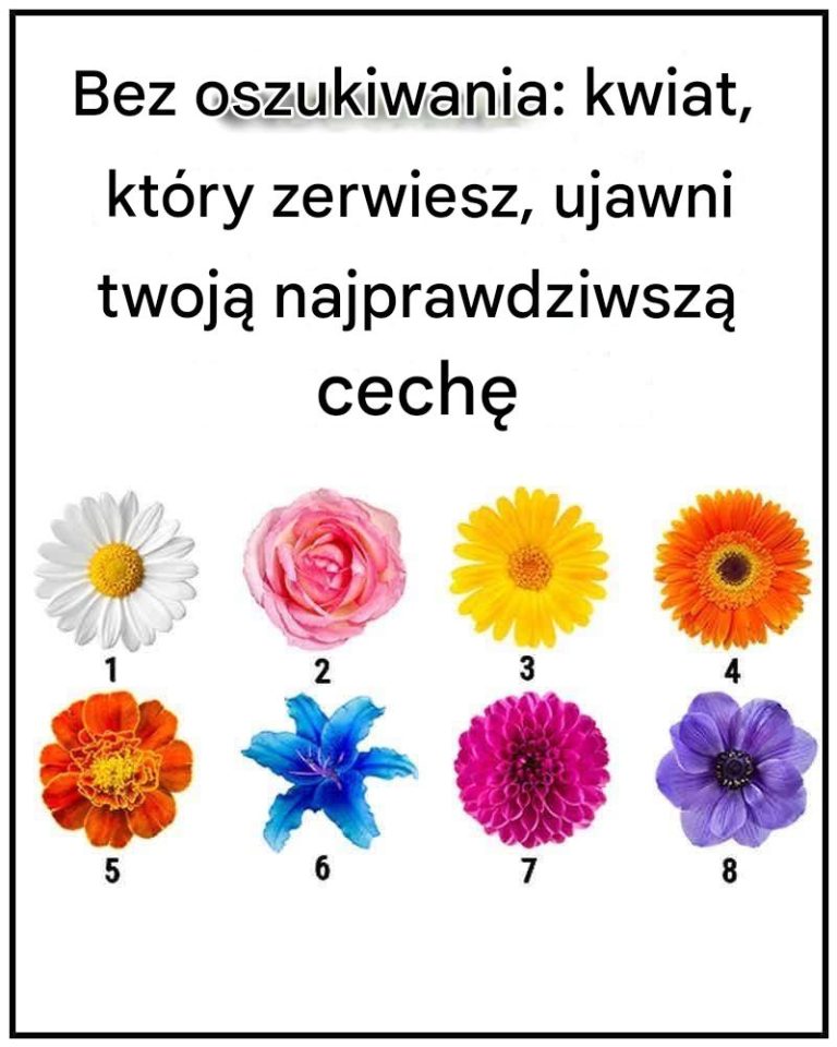 Bez Ch3atingu. Kwiat, który wybierzesz, ujawni twoją najprawdziwszą cechę