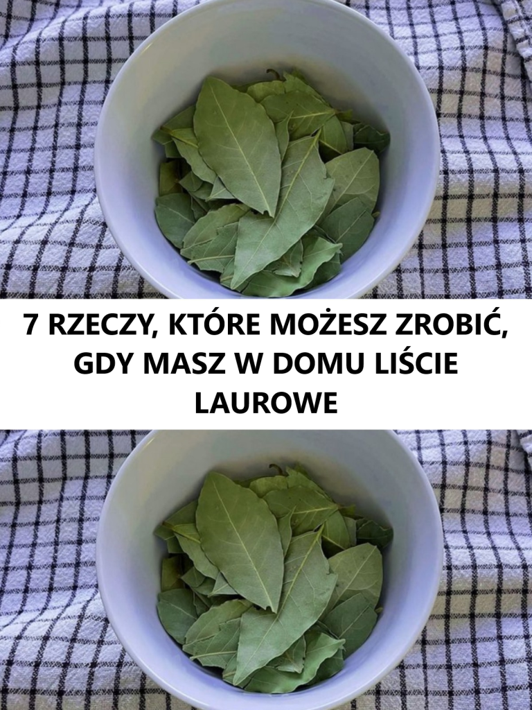 7 RZECZY, KTÓRE MOŻESZ ZROBIĆ, GDY MASZ W DOMU LIŚCIE LAUROWE