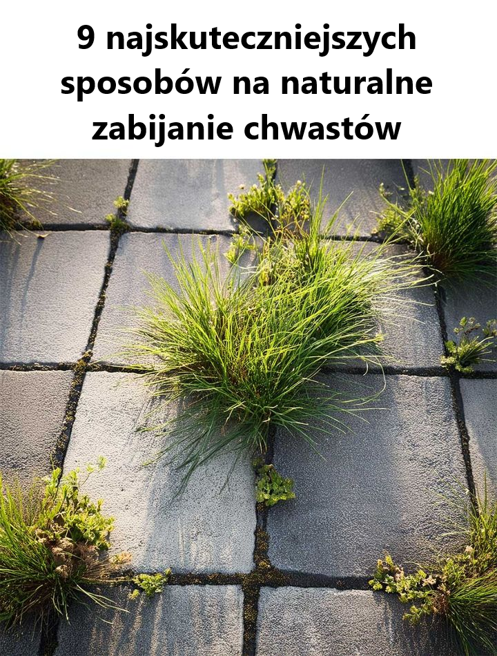 Ojej, nie wiedziałem tego!