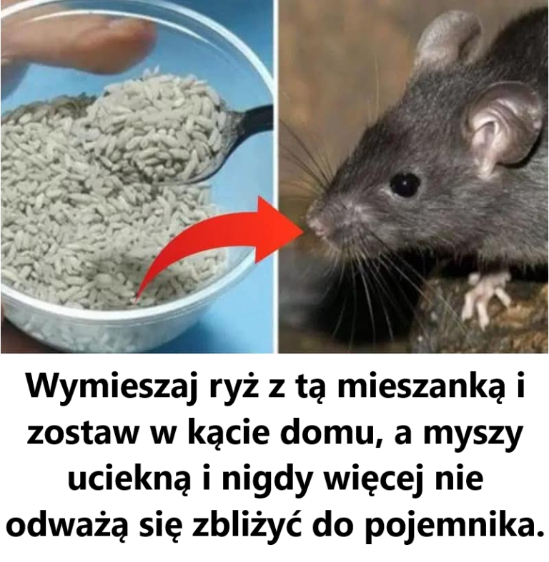 Zastanów się dwa razy zanim użyjesz pergaminu!