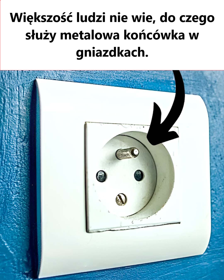 Do czego służy metalowy zacisk na wtyczce?