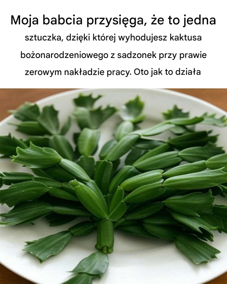 Nie wiedziałem, że można to zrobić