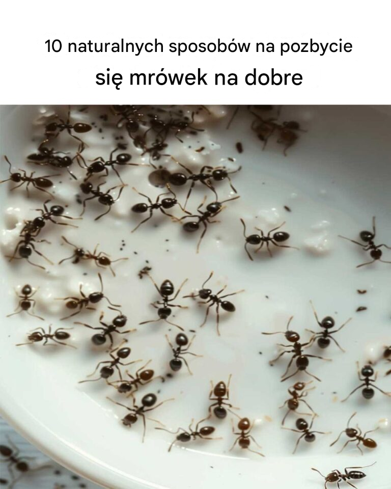 Czy wiedziałeś o tym? Nie miałem pojęcia!